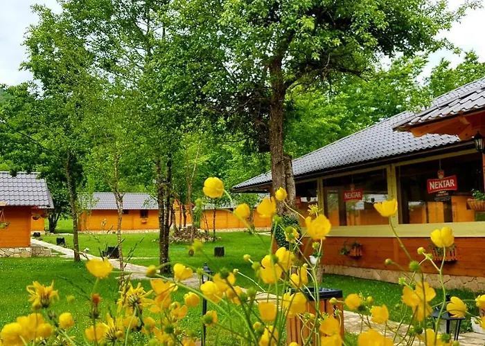 Rafting Centar Rt Resort 3*